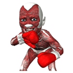 ホントの筋肉さん 2.0