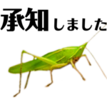 バッター目（実写・丁寧語）2022