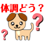 犬 かわいい/体調確認/返信不要/了解/元気