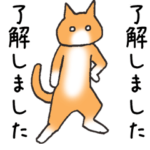 ありがとうと了解！の猫