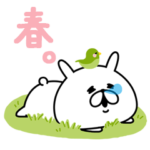 ゆるうさぎの春。