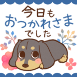 ダックス大好き◆大人可愛い敬語スタンプ