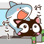 小さい黒猫とちびサメ