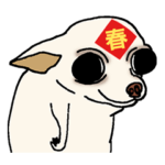 チワワは良い家族のペットです 17