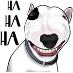 ブルテリア英語版