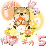 ちゃちゃ丸 5 『こんなご時世の春』