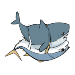 サメとマグロ