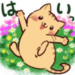 花ねこにゃん♡敬 語