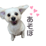 ノアさんの日常スタンプ