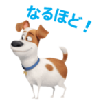 ペット 動くスタンプ