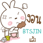 BTSJIN Little Rabbit Love Bear e
