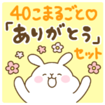 もちうさ♡まるごとありがとうセット