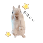 だいふくくん５