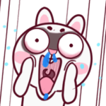 まるちゃんうさぎ２