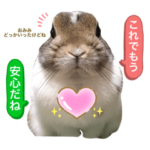 うさぎのまるちゃん 12