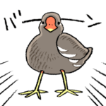 ゆるふわ野鳥スタンプ