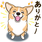 気軽にコーギー 春編