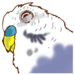 インコイロエロスタンプ4