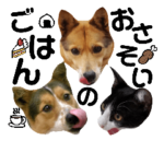 部長としらたま＆ひなコラボスタンプ