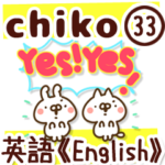 専用33＜英語/English＞