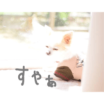 ふうちゃんと怪獣チコ