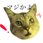 ちいちゃんの日常