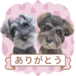 Love×Love!!ミニしゅなちゃんスタンプ♡