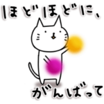 動くゆる猫のいたわり、応援、優しさセット