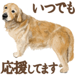 優しい犬！4 応援してます