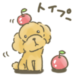 トイプードルだよ★