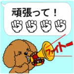 動く！トイプードルの吹き出しスタンプ