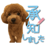 かわいい・わんこ⑦大きい文字
