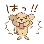 トイプーのぷう太郎　その5