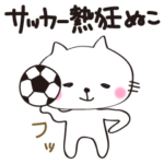 サッカーぬこ