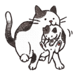 猫好きが反応するスタンプ2