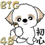 シーズー48『初心に戻って』