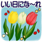 シニアちゃん10 ☆ いろんな気持ち