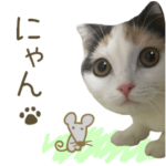 むぎちゃんスタンプ