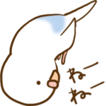 インコ気まぐれ