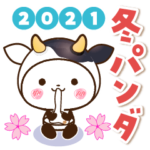 2021年冬パンダ