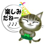 ニャンコ家族で年中行事！