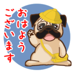 Pug パグ 普段使い（REMAKE)