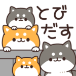 飛び出す♪お返事シバイヌくん