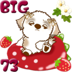 シーズー犬 73『こんなご時世の春』