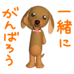 3D ダックスフレンズ