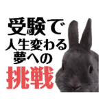 Victoryうさぎの教え40条