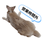 うさぎ100％第3弾