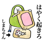 口が悪めの「しま」ちゃん（だるま）