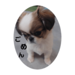 ペキチワ_ぺこの日常