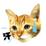 仕事にもつかえるチャーとエリの猫スタンプ